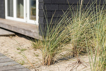 Chalet 17 m² en bois isolé CAEN S1_A2_ROI