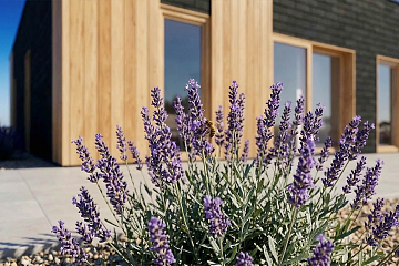 Maison 43 m² en bois kit RE2020 avec permis de construire GAP  V22_A2_Mix