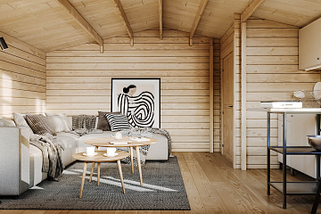 Chalet de jardin TARN VSP25